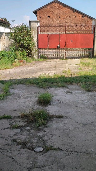 Ecco il mio ultimo video