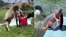 Animals that got Naughty with Beautiful girls lol