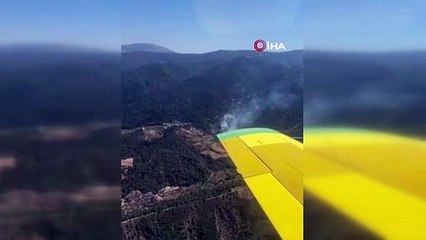 İzmir'de orman yangını! Havadan ve karadan müdahale sürüyor