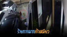 ข้างบ้านร้องเรียน ใครเขวี้ยงรองเท้ามา พอเปิดกล้องดูอื้อหือตัวการ...