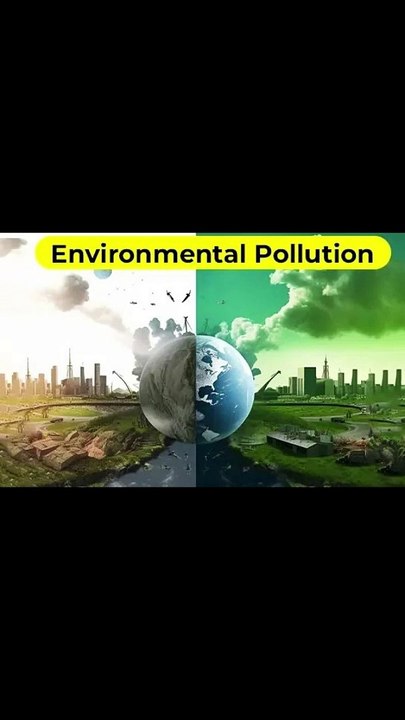 How to Clean Lungs in Home| Health Facts| Lungs Cleansing | Holy Herbs