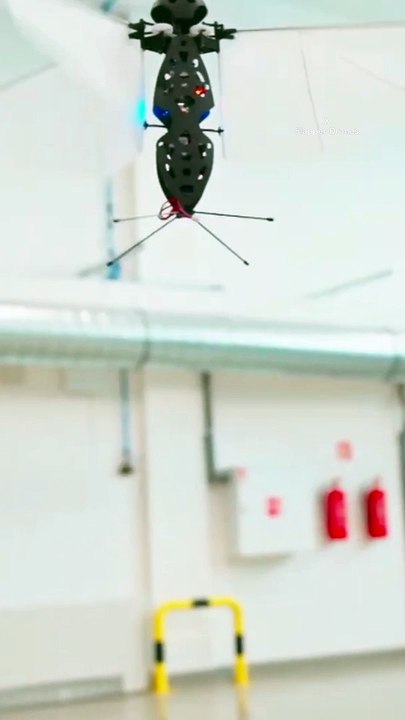 Bioinspired flying robots