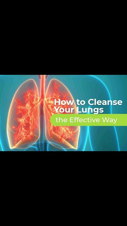 How to Clean Lungs in Home with Holy Basil | Health Facts| Lungs Cleansing | Holy Herbs