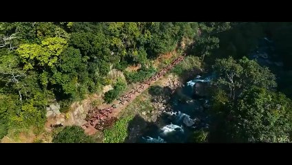 Pushpa 2 - The Rule - Hindi Trailer (2024) - Allu Arjun, Rashmika, Fahadh - Sukumar - DSP