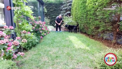 Patinin Hikayesi 24 Ağustos 2024