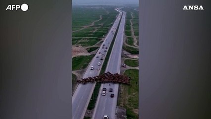 Video herunterladen: Oman, una mandria di cammelli attraversa un'autostrada bloccando il traffico