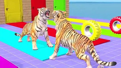 Cow-Elephant-Tiger-Gorilla-Buffalo-Hippo_24