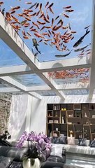 Glass pool on a room