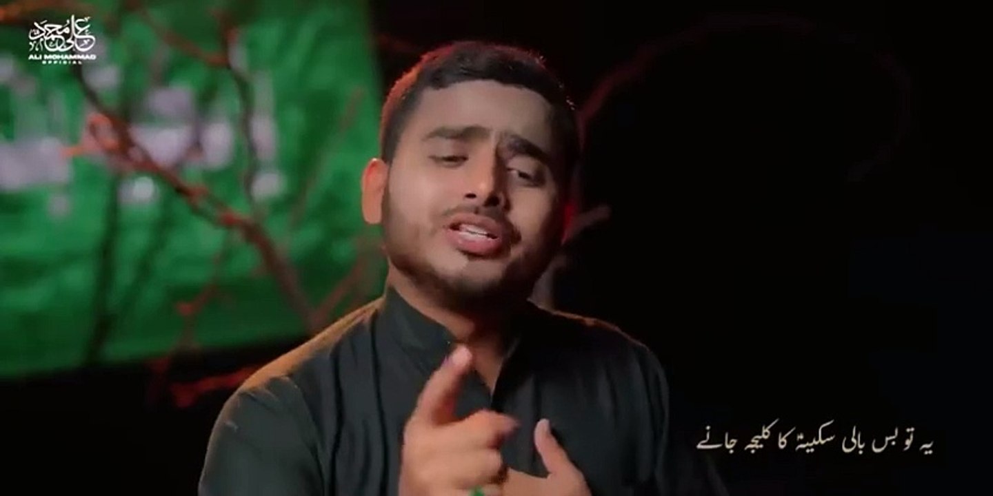 Nohay 2024 | Pani پانی पानी | Bibi Sakina Noha | Ali Mohammad sultanpuri Nohay | Muharram Noha 2024