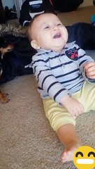 Funny baby laughing __  funniest baby video __ _baby _laugh