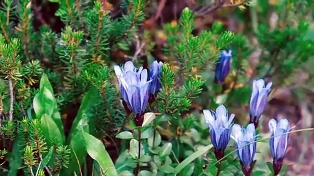 The BEST Hike I've Done in Washington _ Mt. Rainier National Park