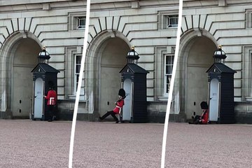 Buckingham Palace guard slips and lands on his bum
