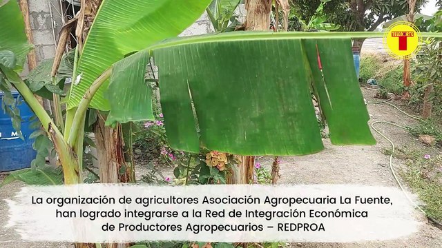 RED DE INTEGRACIÓN ECONÓMICA DE PRODUCTORES AGROPECUARIOS SOLICITÓ AL MINISTRO MAYOR IMPORTANCIA AL AGRO