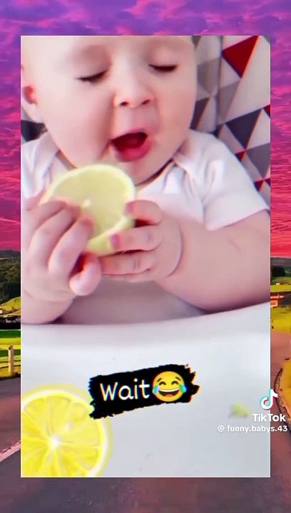 Funny videos