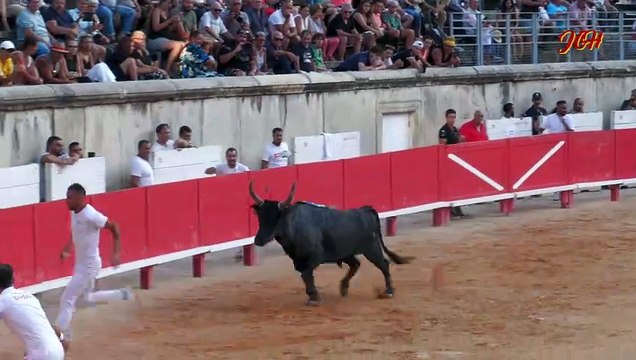 Arènes de NIMES 22 Août 2024 Redon manade F 4ièm