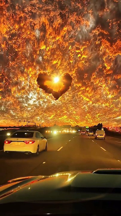 The art to make life successful.