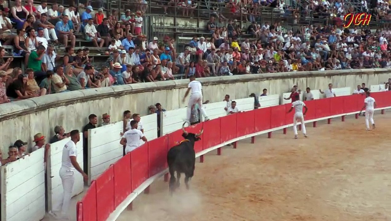 Castella manade Saumade NIMES 22 Août 2024