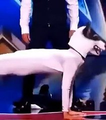 Man_transforms_into_a_Dog_on_AGT__America_s_got_talent___Duo_Schumacher#AGT#americagottalent#magic(240p)