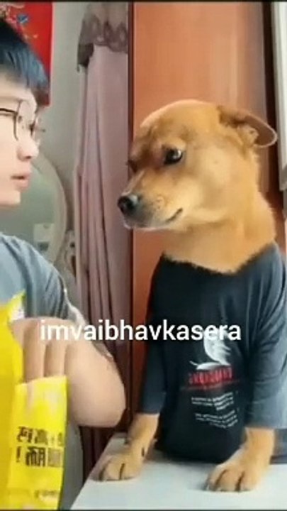 Angry dog with a boy __ hindi funny dubbing __ comedy _funnyvideo _comedy _shorts _trending(360P)