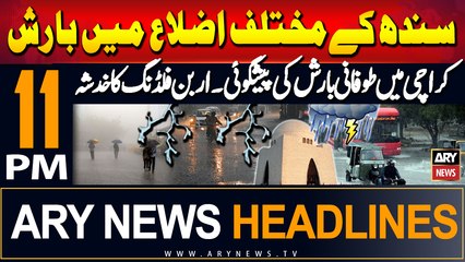 ARY News 11 PM Headlines | 24th August 2024 | Rain in Pakistan - Weather News