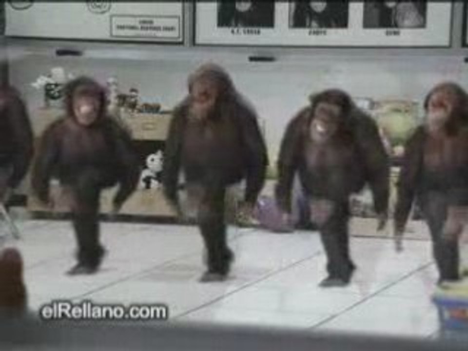 Gig des singes