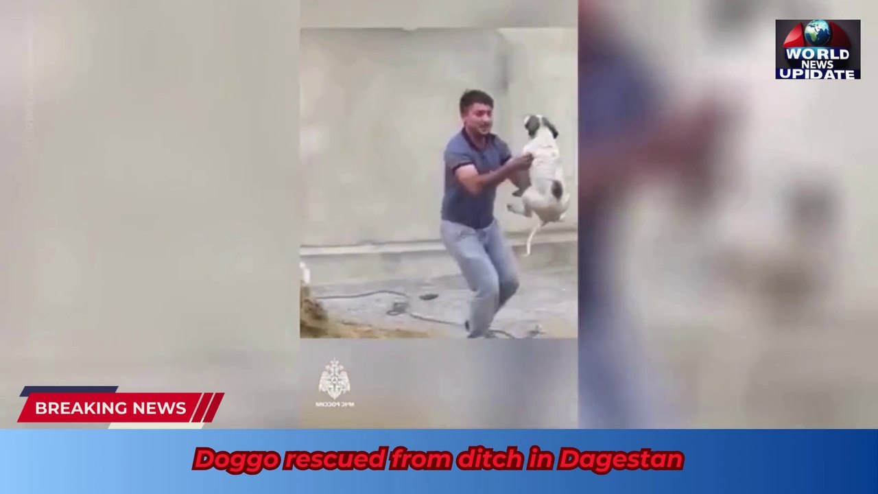 Doggo rescued from ditch in Dagestan
