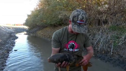 The dog is too sensible and catches fish for the owner every day to eat so spiritually