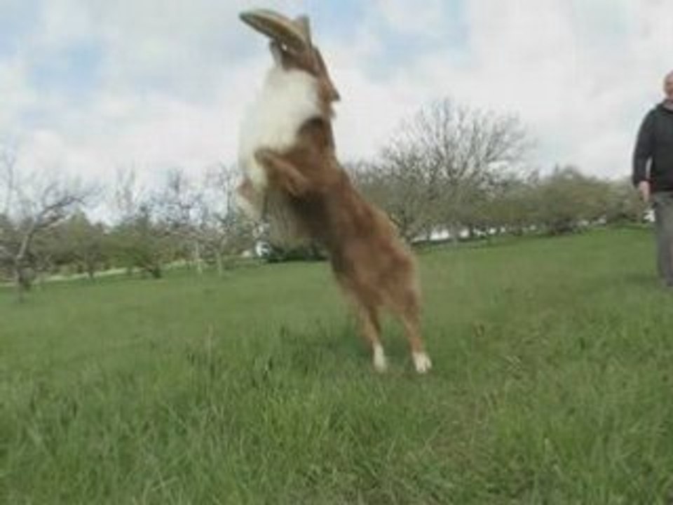 FrisbeeKyran2
