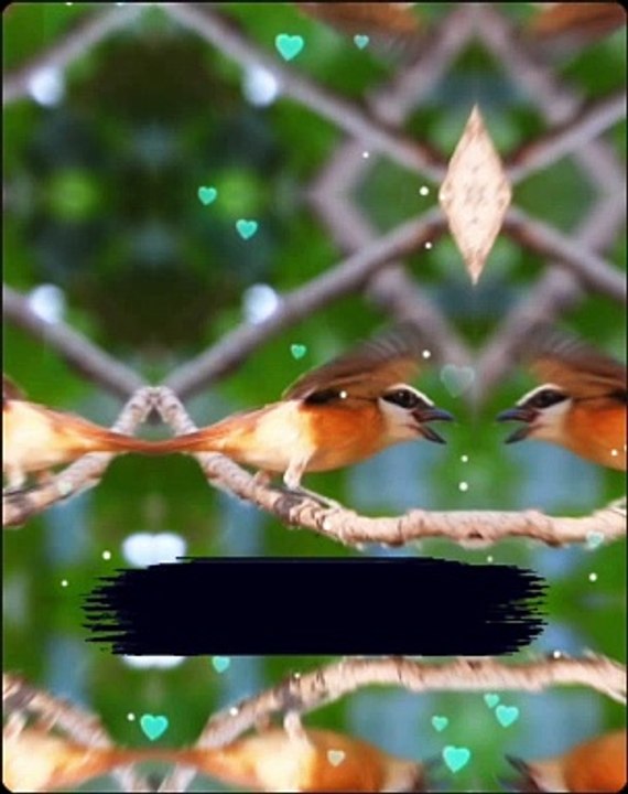 Islamic video