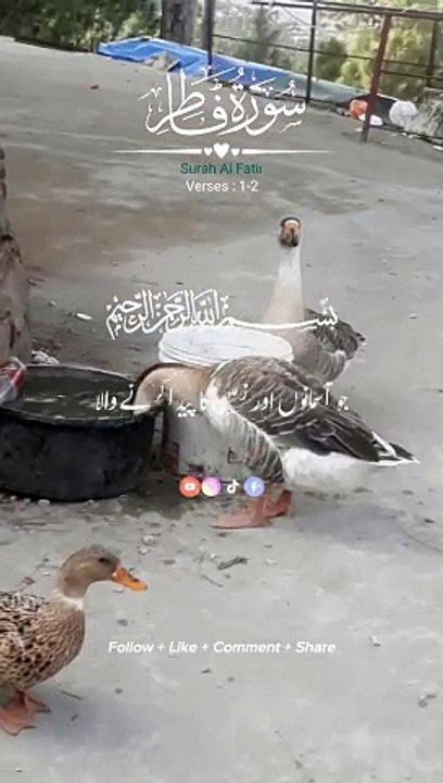 surah fatir urdu translation ayat 1،2 #alquran#islamic video#islam