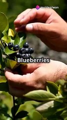 Blueberry Bonanza_ Unveiling the Superfruit