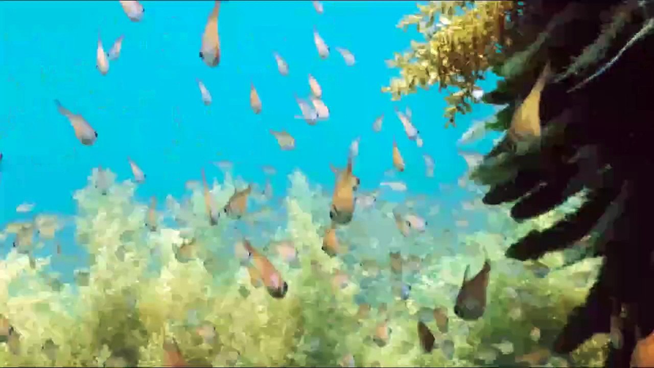 MyTitle