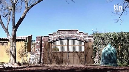 66. Polvo Carnavalero