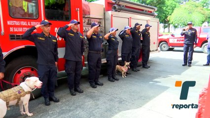 Despiden con honores a Cloro, el perro bombero