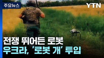 로봇, 인간전쟁에 뛰어들다...우크라, 로봇개 투입 / YTN