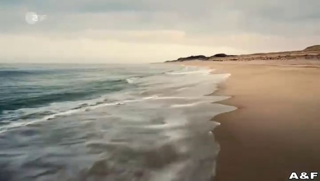 Nord Nord Mord -13- Sievers und der goldene Fisch