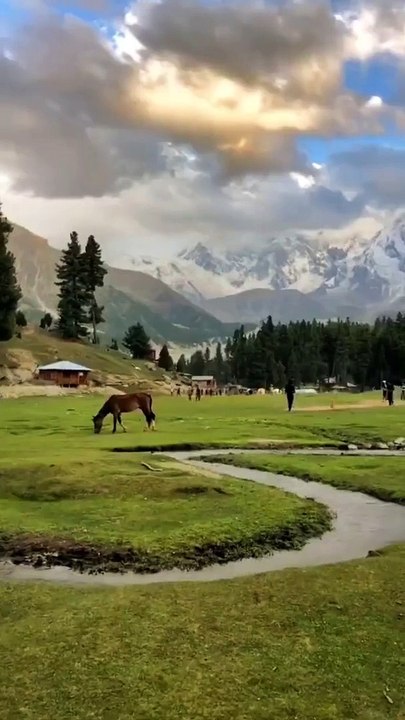 Fairy Meadows & Nanga Parbat _ Explore the beauty of Northern Areas of Pakistan-=Natural Beauty