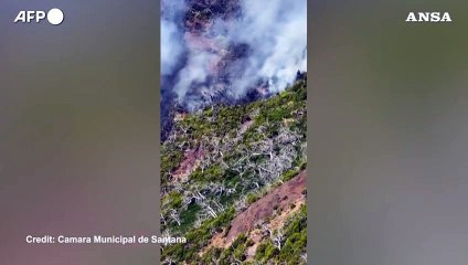 Madeira, i vigili del fuoco combattono un violento incendio