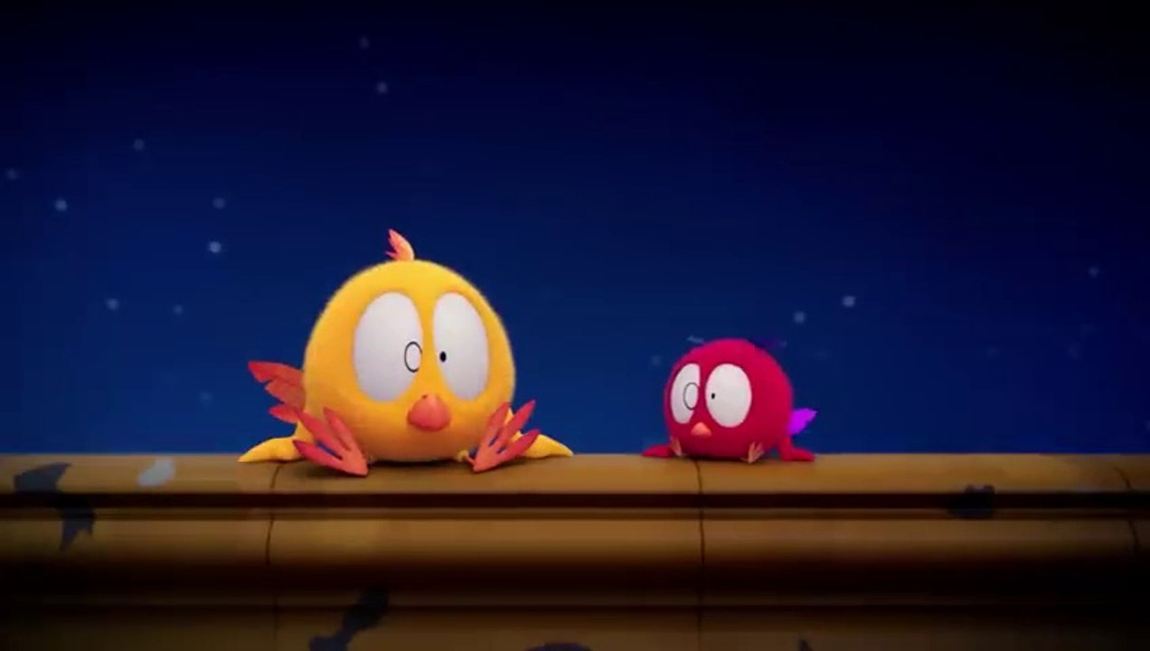 The fireworks! ✨ Where's Chicky. - Cartoon Collection in English for Kids - New episodes
