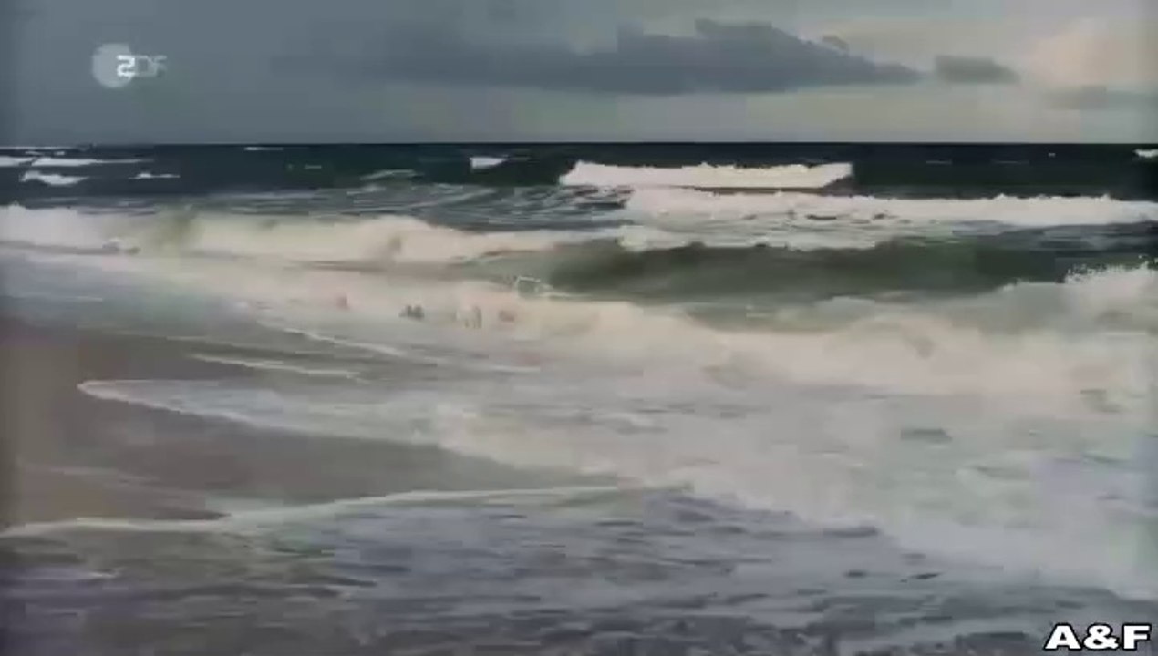 Nord Nord Mord -14- Sievers und der schönste Tag