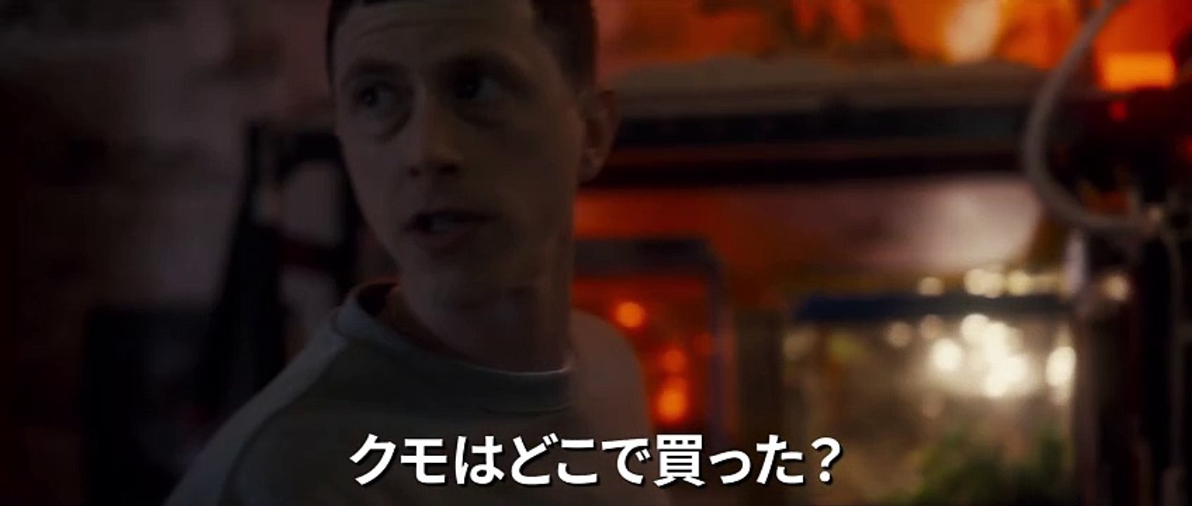 映画『スパイダー／増殖』