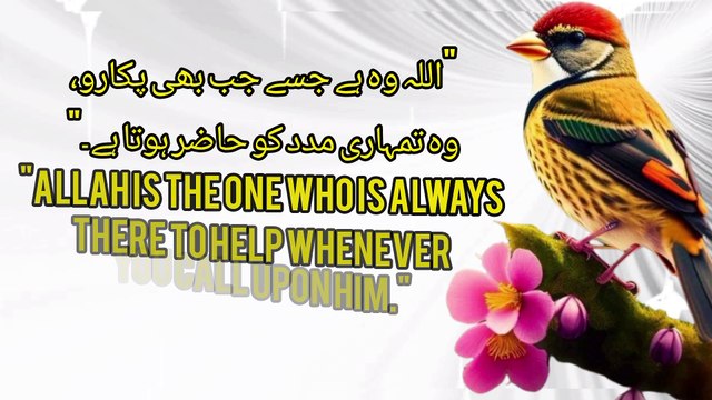 Guidance & Inspiration: Uplifting Islamic Quotes to Enlighten Your Day