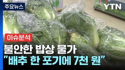 "배추 1포기에 7,306원" 치솟는 채솟값...밥상물가 비상 / YTN