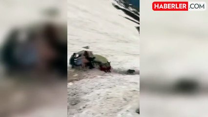 Zavallı eşeğin telef olduğu anların görüntüsü izleyenleri kahretti