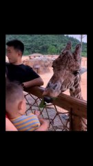 Funniest Fails Of The Year Compilation.