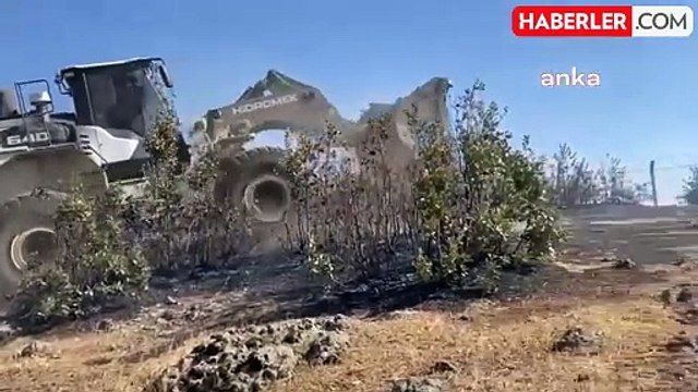 Bingöl'de çıkan orman yangınları kontrol altına alındı