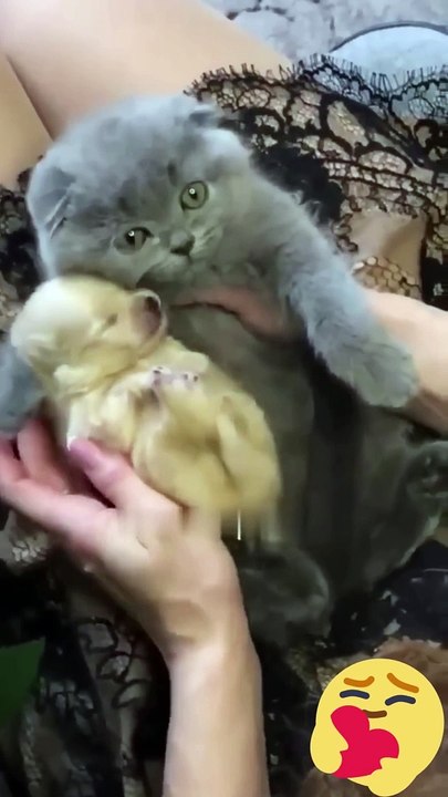 Cuteness