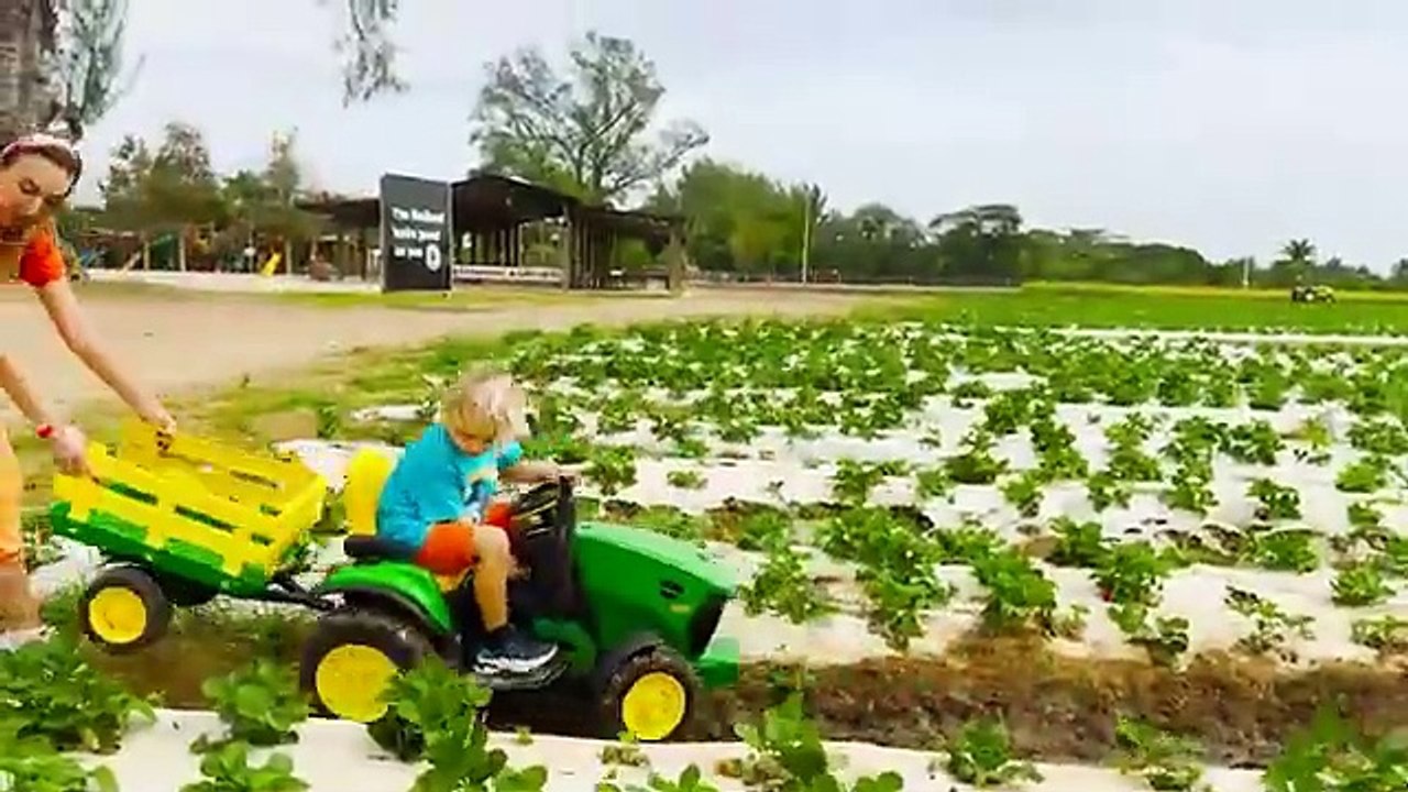 Chris y Alicia en la Granja cuentos para niños