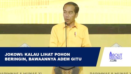 JOKOWI DI MUNAS GOLKAR: SAYA KALAU LIHAT POHON BERINGIN, BAWAANNYA ADEM GITU