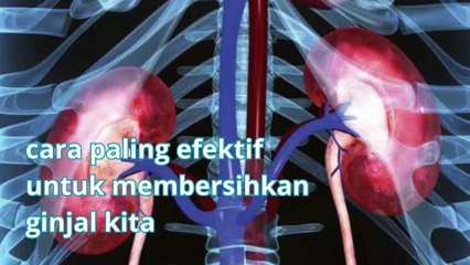 Tips Ampuh Bersihkan Ginjal agar Tetap Sehat tanpa ribet tapi banyak orang tidak tau